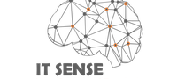 IT Sense